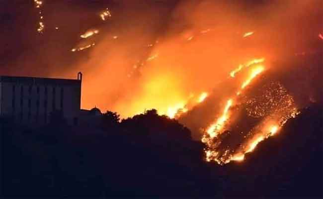 استفادة ولاية تيزي وزو من غلاف مالي قدر بـ54 مليون دج مخصص لتعويض الحرائق