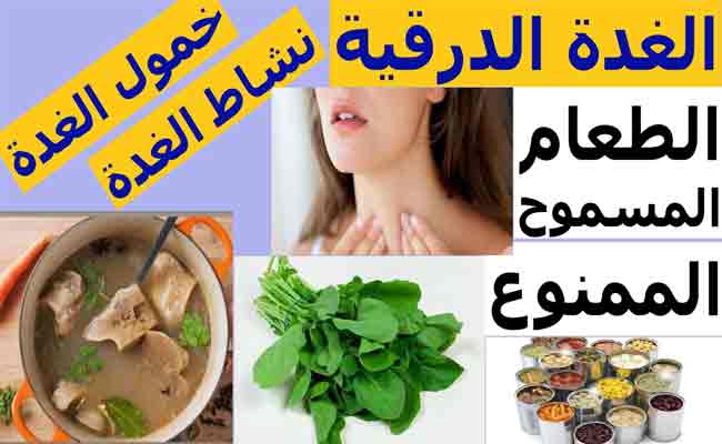 ما هو الرجيم الغذائي الأفضل لمرضى خمول الغدة الدرقية…؟