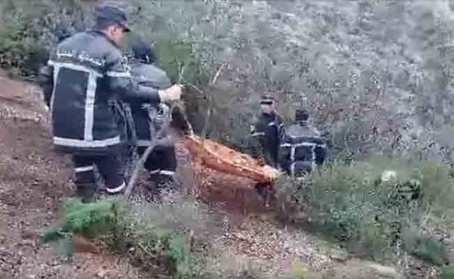 العثور على جثة الشخص الثالث المفقود بغابة الضاية الجبلية بالبليدة