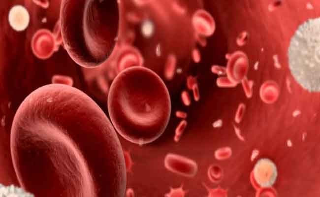 ما هي أسباب نقص الصفائح الدموية عند الحامل؟…