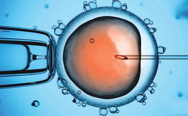 ما مدى فعالية علاج العقم بالخلايا الجذعية…؟