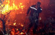 الحكومة تدعوا إلى الإسراع في تعويض الفلاحين المتضررين من حرائق الغابات