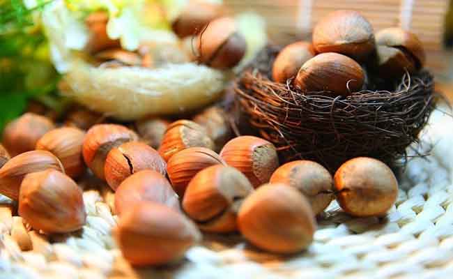 الى جانب فوائده الصحية العديدة…هل يساعد البندق على خفض الكوليسترول؟