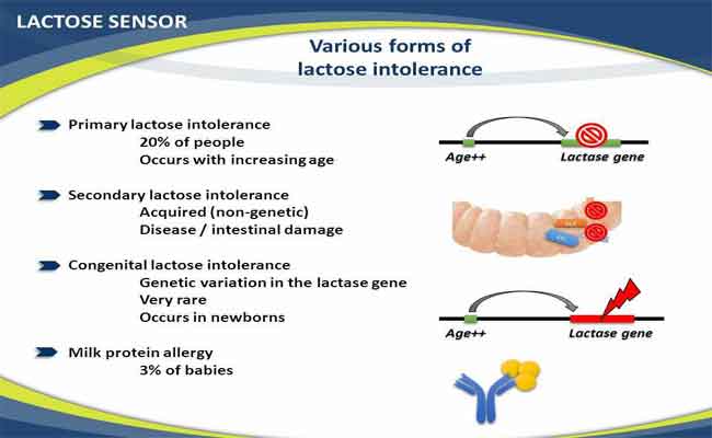 ما هي حالة عدم تحمّل اللاكتوز عند الأطفال الرضع؟…