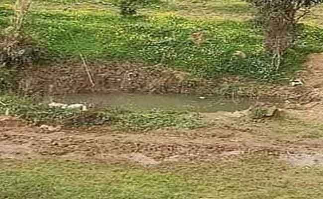 بركة مائية تنهي حياة ثلاث إخوة أطفال بالسحاولة بالعاصمة