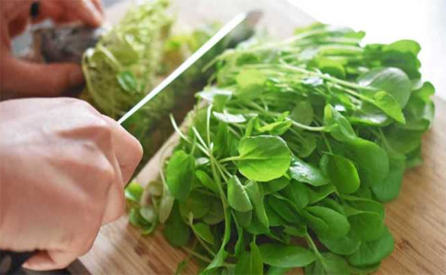 عند ادراجه في نظامها الغذائي… هل يفيد الجرجير صحّة الحامل؟