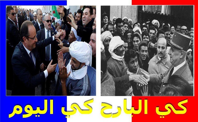 بقاء الجنرالات في الحكم والإفراج على كل الفاسدين أكبر دليل على جبن الشعب الجزائري