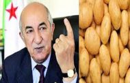 الجزائر ستصدر البطاطس بدل الغاز والبترول