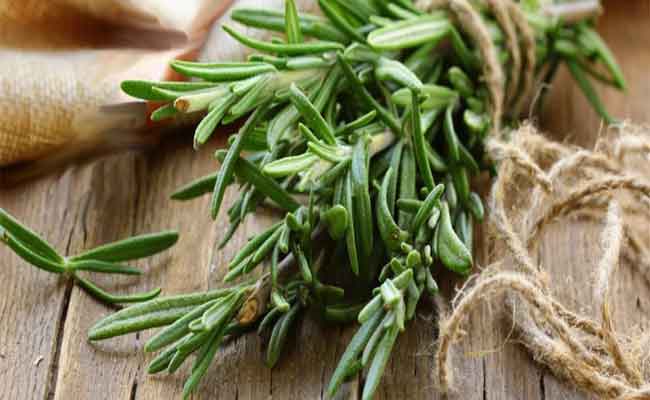 فوائد مذهلة لإكليل الجبل تشجعكم أكثر على استخدامه في نظامكم الغذائي…!