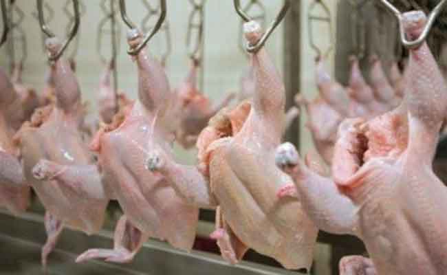 توفير 50 ألف طن من اللحوم البيضاء لرمضان