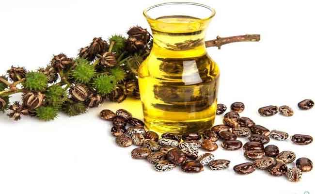 زيت الخروع…هل له فوائد على الصحة الجنسيّة عند الرجل؟