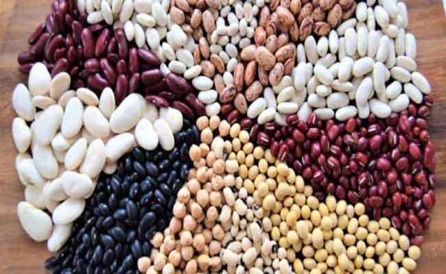 لماذا يجب أن يتناول طفلكِ الفاصوليا؟