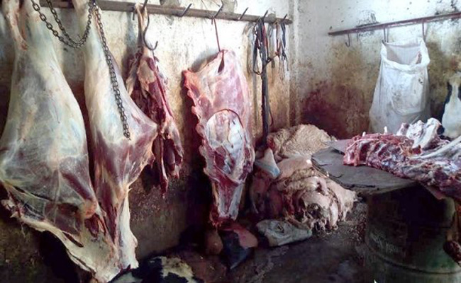 المصالح الأمنية بسطيف تحجز قنطارا من اللحوم الحمراء غير الصالحة للاستهلاك