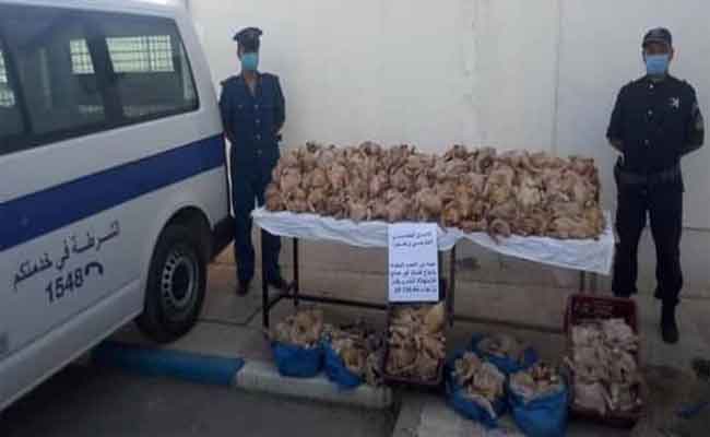 حجز 54 كلغ من الدجاج الفاسد بأم الدروع بالشلف