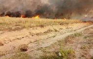 النيران تلتهم 6 هكتارات من القمح بمنطقة المهايدية بالحمادنة بغليزان