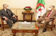 استقبال ڨوجيل لسفير البرتغال بالجزائر
