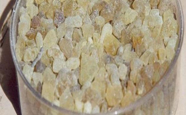 بعد التعرّف على فوائد لبان الذكر للبشرة…سيصبح من أساسيات العناية بها!