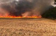 الحماية المدنية تخمد حريق محصول القمح في الهاشمية بالبويرة