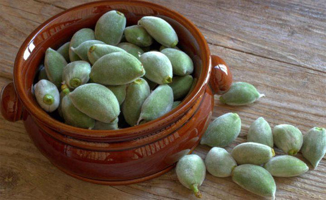 هل يفيد تناول اللوز الأخضر خلال الحمل؟