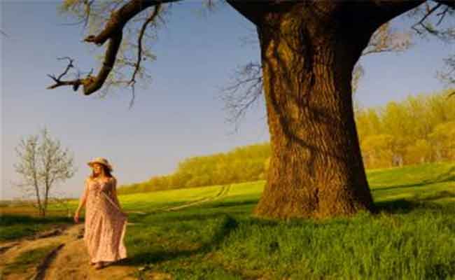 كيف يؤثر التنزه في الهواء الطلق على صحّتكم الجسدية والنفسية؟