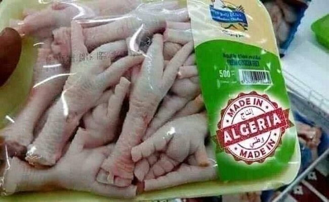 بينما دول العالم تستثمر في الذكاء الاصطناعي الجزائر تستثمر في أرجل الدجاج ولحوم الكلاب