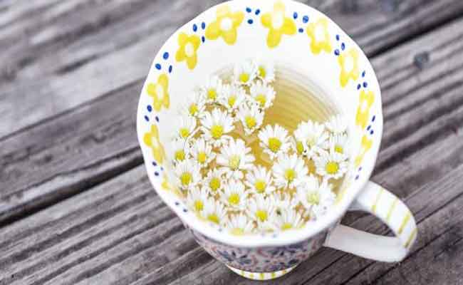 ما هو الوقت الأفضل لشرب البابونج؟