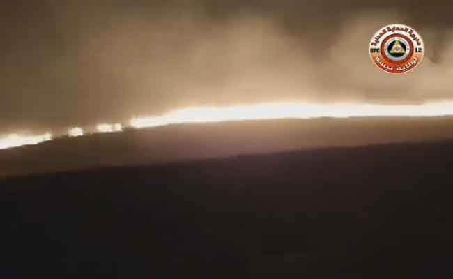 إخماد حريق التهم  20 هكتارا من الحلفاء بتبسة