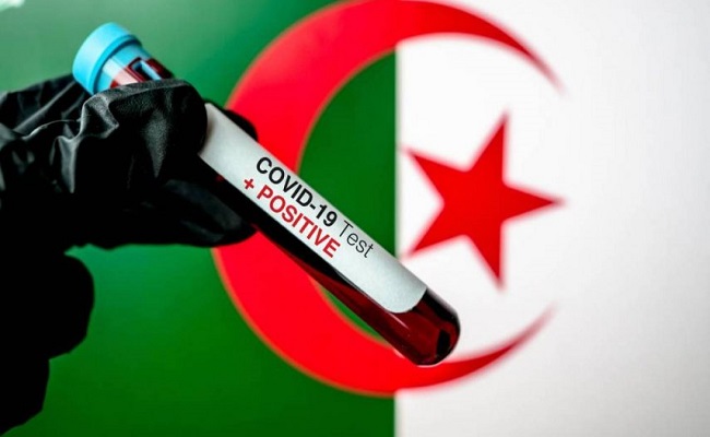 أخر مستجدات كورونا بالجزائر