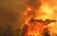 النيران تلتهم عشرات الهكتارات من الغطاء النباتي بغابات عين ميمون بطامزة بخنشلة