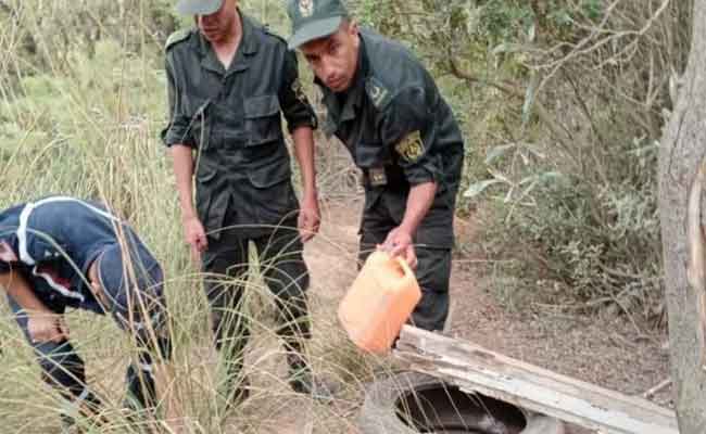 الحماية المدنية تفشل محاولة إضرام حريق بغابة بينام بالعاصمة