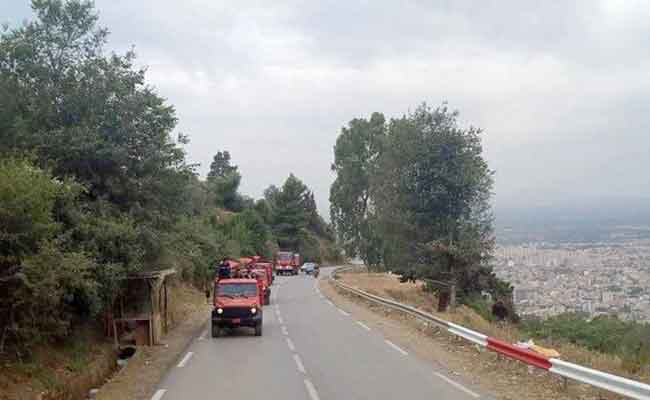 دوريات مكثفة لمراقبة الغابات خلال عطلة نهاية الأسبوع