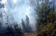 الدرك يوقف 3 أشخاص يشتبه تورطهم في إشعال النار بغابات عين ميمون بخنشلة