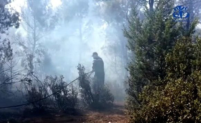 الدرك يوقف 3 أشخاص يشتبه تورطهم في إشعال النار بغابات عين ميمون بخنشلة