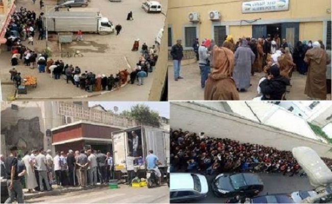 تراجع المظاهرات رغم تحويل الجنرالات الجزائر إلى بلد المليون طابور