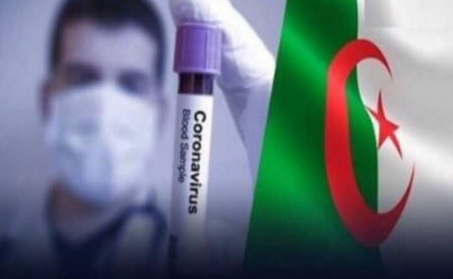 تطورات كورونا في الجزائر