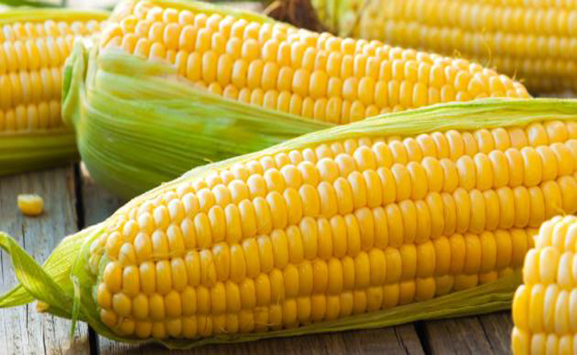 حبوب الذرة تخبئ فوائد صحية كثيرة لأطفالكم…تعرّفوا عليها!
