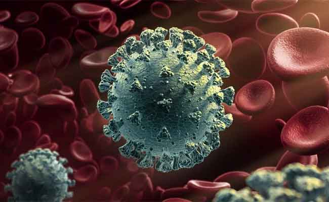 ما هو الفيروس القردي بي؟ وما مدى خطورته؟