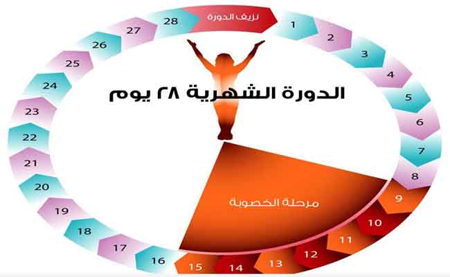 ما الذي يؤدي الى تأخر الدورة الشهرية عند البنات؟