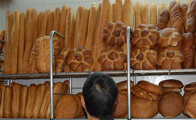 إيداع صاحب مخبزة الحبس المؤقت تورط في صنع الخبز من علف الدجاج في المدية