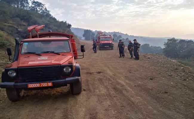 الحرائق الغابات تصل إلى 72 حريقا في 14 ولاية منذ مساء الاثنين