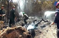 حرائق الطارف خلفت إتلاف أكثر من 1000 هكتار من الغابات