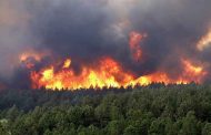 حريق يتسبب في اتلاف 27 هكتارا من أشجار الصنوبر الحلبي و الأدغال ببلدية سوق نعمان بأم البواقي