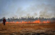 النيران تلتهم 5 هكتارات من الأحراش والأدغال والحصيدة في حريق بالفجوج بقالمة