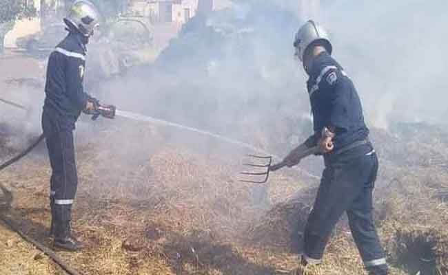 جميع حرائق الغابات في سطيف تم إخمادها بشكل “نهائي”