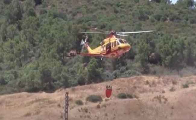 الحماية المدنية تخمد 43 حريقا غابيا على مستوى 20 ولاية خلال الـ 24 الساعة الأخيرة