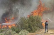 عمليات إخماد الحرائق متواصلة في 12 منطقة عبر في ولاية جيجل