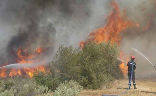 عمليات إخماد الحرائق متواصلة في 12 منطقة عبر في ولاية جيجل