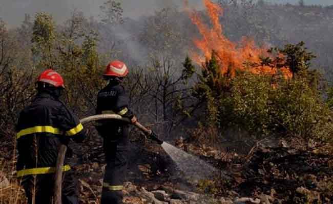 الحماية المدنية تخمد 27 حريقا غابيا في 12 ولاية خلال الـ 24 ساعة الأخيرة