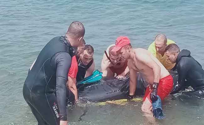 انتشال جثة الغريق الذي كان مفقودا في شاطئ الشلف