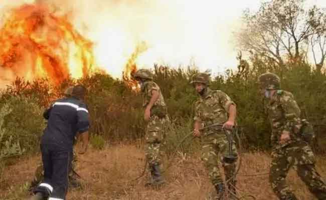 تواصل عمليات إطفاء الحرائق